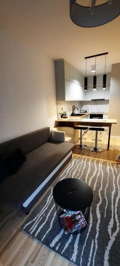 ביאליסטוק Apartament Wiosenna מראה חיצוני תמונה